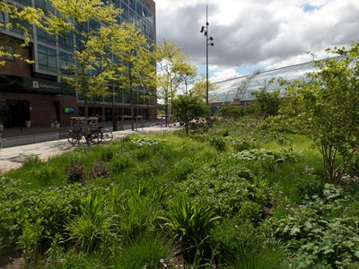 Wandelend door het groen naar het station